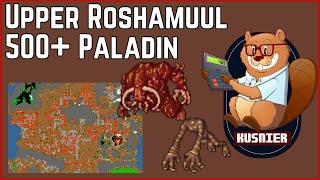 Upper Roshamuul Beginners  500+ Paladin  Tibia