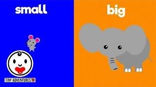Learn Opposites  Big & Small  Simple learning video for babies toddlers kids