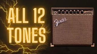 All 12 Fender Champion 20 Tones Back-To-Back