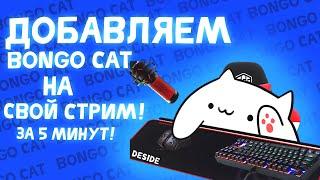 Как добавить bongo cat на стрим  ГАЙД