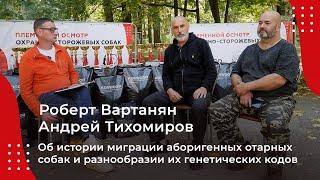 Роберт Вартанян и Андрей Тихомиров об истории миграции аборигенных отарных собак 2023