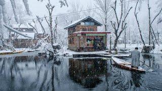 Top 10 must-visit places in Kashmir  Travel Video