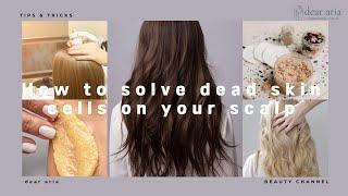 How to solve dead skin cells on your scalp