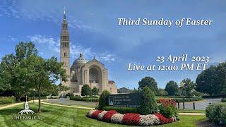 Third Sunday of Easter – April 23 2023