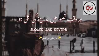 Har Waqt Tassawur Main Madinay Ki Gali  Slowed & Reverb  Muhammad Shahbaz Qadri  @Qureshi-Writs