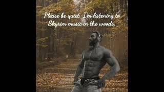 Please Be Quiet I’m Listening To Skyrim Music in The Woods