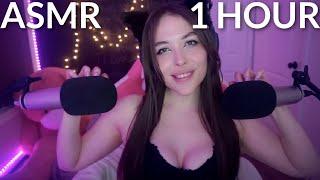 ASMR 1 Hour Of Purring and Scratching Audio Relaxation filmed live