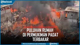 Puluhan Rumah di Permukiman Padat Tanjung Priok Terbakar