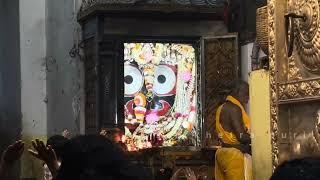 Today Sandhya darshan of Shree Jagannath Jagannath dham puri #youtube #video #jagannath #puri