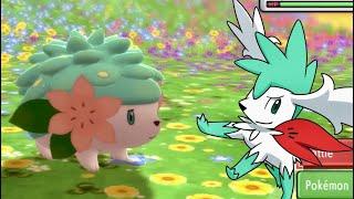 LIVE Full Odds Shiny Shaymin Reaction after 3201 Run Aways in Pokémon BDSP