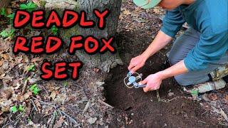 DEADY RED FOX SET   {COMPLETE HOW TO}