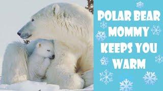 ASMR **V** Polar Bear Mommy keeps you warm