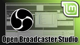 Linux Mint Tutorial Open Broadcaster Studio installieren & einrichten