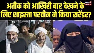 Shaista Parveen ने कर दिया Surrender  Atiq Ahmed News  Atiq Ahmed Shot Dead  Latest News