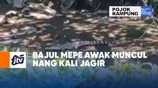 Bajul Mepe Awak Muncul Nang Kali Jagir  POJOK KAMPUNG JTV