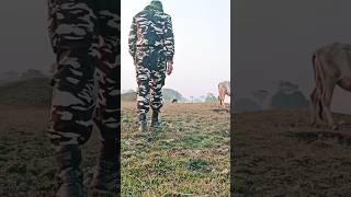 ssb short status video #jaihind 