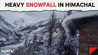 Snowfall In Himachal Heavy Rain And Snowfall Forces Authorities To Close Shinku La Pass In Himachal