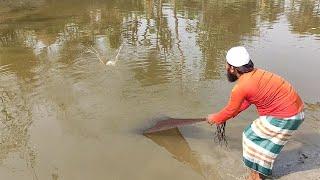 Fish Catching Using by Cast Net in The Village Beautiful Pond