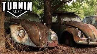 HUGE Abandoned Volkswagen Collection Found after 40 YEARS  1960 VW Beetle  Turnin Rust