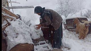 A snowy day in the village_nomadic lifestyle in Iran2023