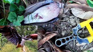 Slingshot Hunting pigeon dove bird kill short