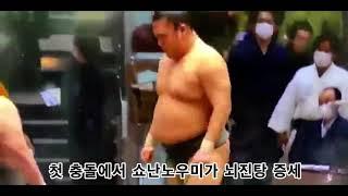 스모 뇌진탕 - 스모가 극한직업인 이유