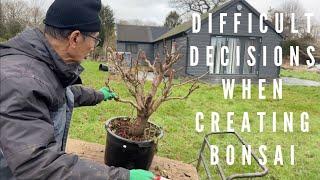 Difficult Decisions When Creating Bonsai