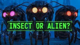 Fallout’s Cosmic Mystery The Mothman  Fallout 76 Lore