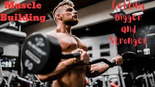 Muscle Building The Ultimate Guide to Getting Stronger and Bigger