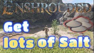 How to get lots of Salt in Enshrouded