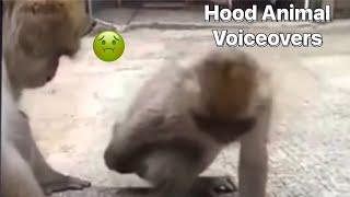 Hood Animal Voiceovers EP. 34