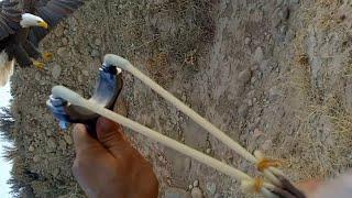 Make hunting slingshot at home with simple things DIY that does not miss the target
