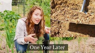 We covered 12 the garden in wood chips  One Year Later  Did it IMPROVE the Soil?