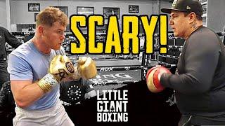 SCARY CANELO THROWS 20 PUNCH COMBO IN 3 SECONDS - SHOWS CRAZY SPEED & POWER AT 175 FOR DMITRY BIVOL