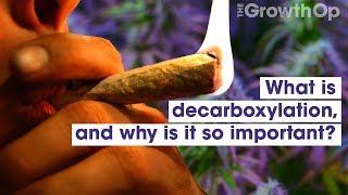 What is decarboxylation and why is it so important?  Weed Easy