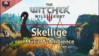 The Witcher 3  Skellige Day  Emotional and Relaxing Soundtrack & Ambience