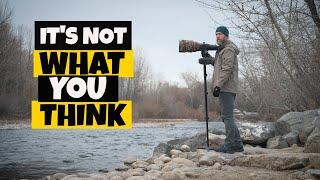 Bird Photography Tips. Everything you need to know in one video. sort of