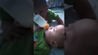 Kaka merebut susu adik 