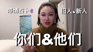 你们&他们--旧人和新人【无限时感情占卜】