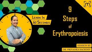 9 Steps of Erythropoiesis The Cellular Process That Gives You RBC  Dr Priyanka Sachdev