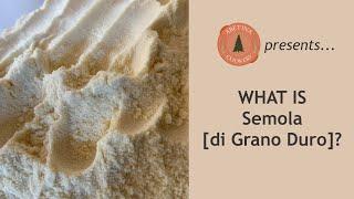 What is Semola? Durum Wheat