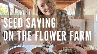 Seed saving on the flower farm