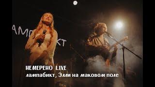 лампабикт Элли на маковом поле - немерено live