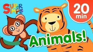 Our Favorite Animals Songs For Kids  Super Simple Songs