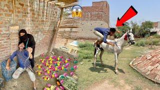 Hamza Horse Se Gir GayaAnti Zoo Se Bhaag Gai