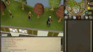 Runescape Inferno Adze