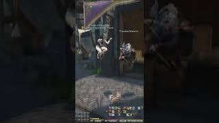 Fellow Ninjas share a braincell in FFXIV