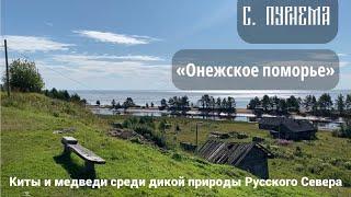 Пурнема киты медведи и старые лодки на Онежском берегу  Жемчужина Поморья вдали от городов