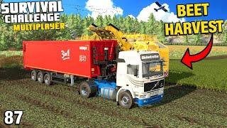 THE SUGAR BEET HARVEST BEGINS Survival Challenge Multiplayer CO-OP FS22 Ep 87