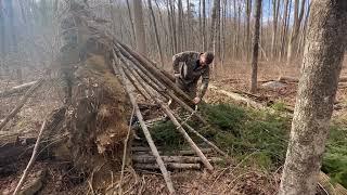 Survival shelter out of a fallen tree #survival #shelterbuilding #bushcraft